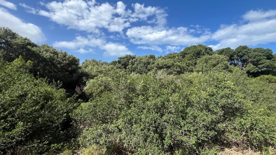 Commercial Property for Sale in Paradise Beach Eastern Cape